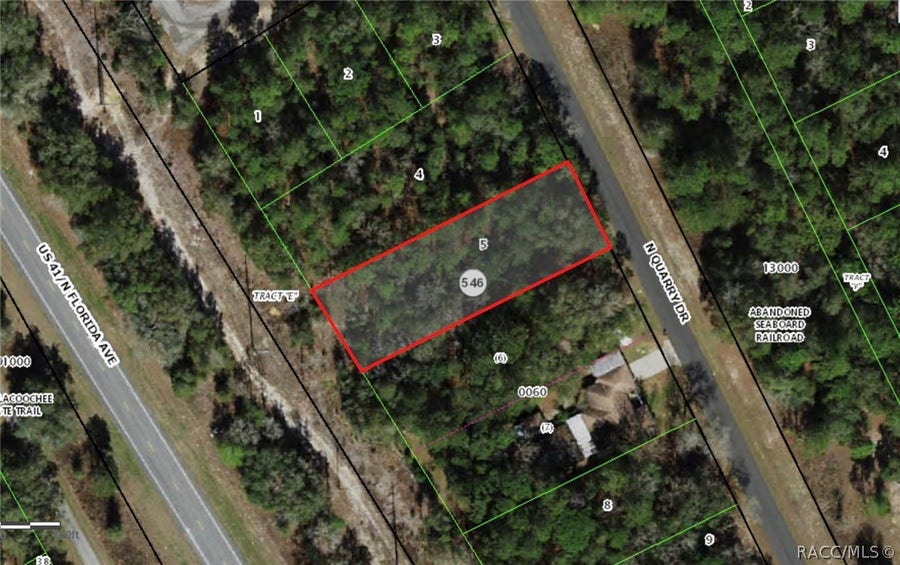 Property photo for 9756 N Quarry Drive, Dunnellon, FL
