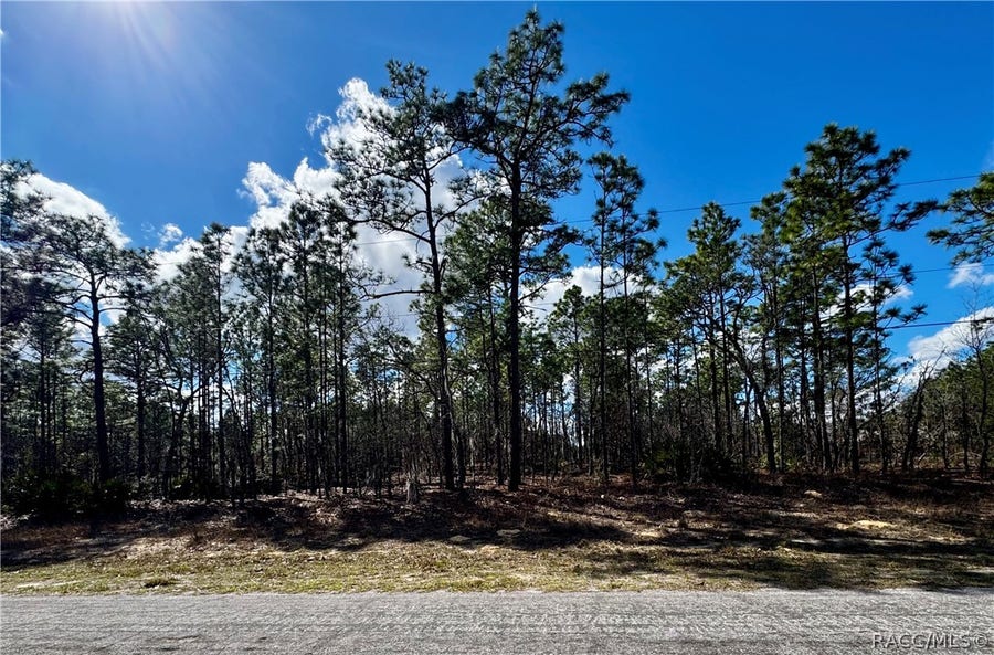 Property photo for 7778 N Gibralter Drive, Dunnellon, FL