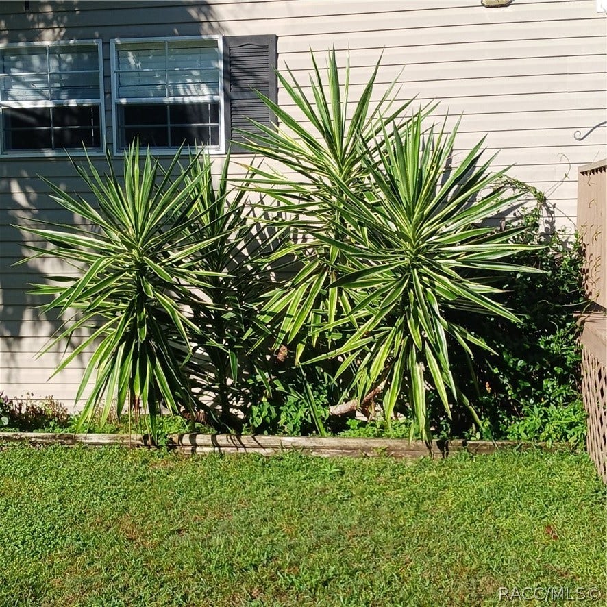 2430 S Wakulla Point, Homosassa, FL 34448 2430 S Wakulla Point, Homosassa, FL 34448
