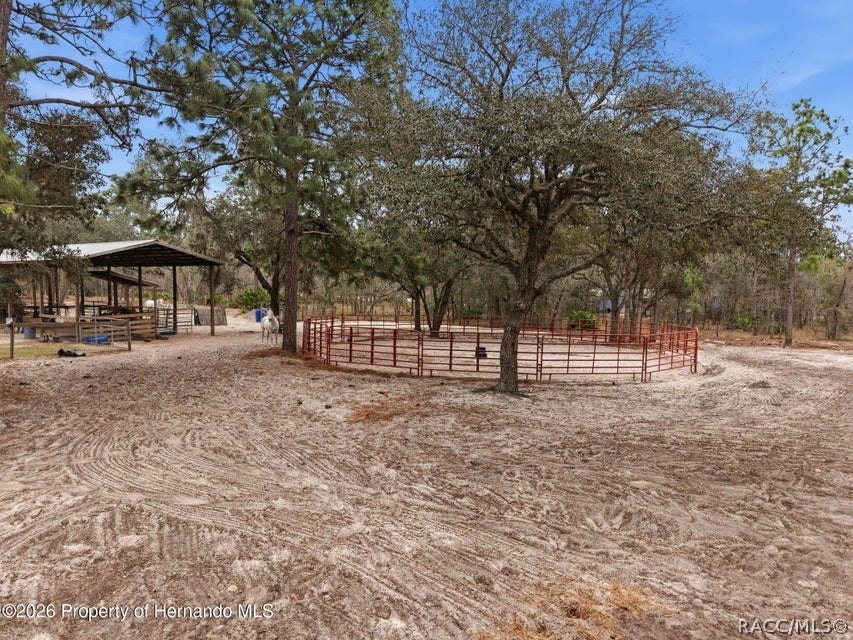 12124 Squeeze Avenue, Brooksville, FL 34614 12124 Squeeze Avenue, Brooksville, FL 34614
