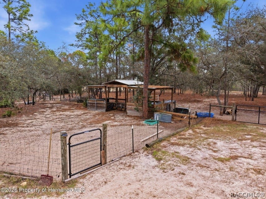 12124 Squeeze Avenue, Brooksville, FL 34614 12124 Squeeze Avenue, Brooksville, FL 34614