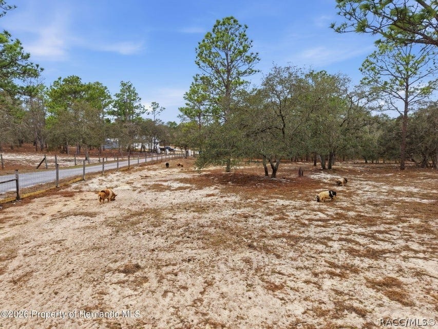 12124 Squeeze Avenue, Brooksville, FL 34614 12124 Squeeze Avenue, Brooksville, FL 34614