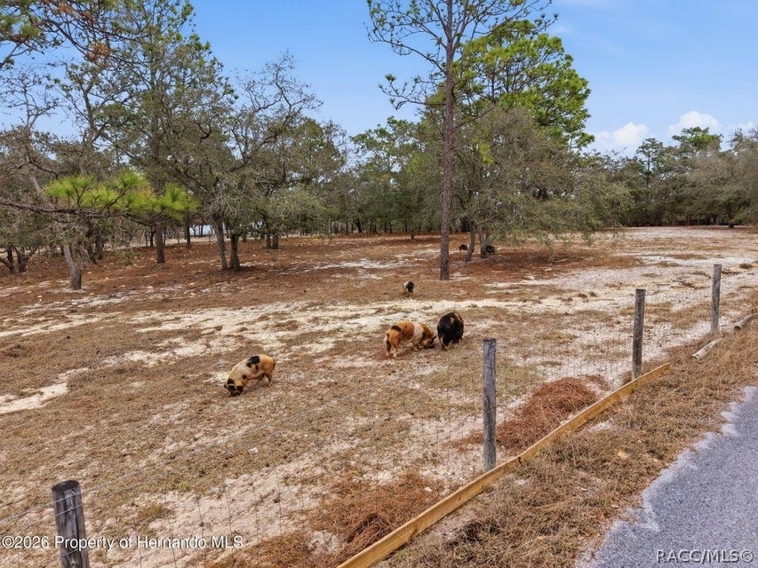 12124 Squeeze Avenue, Brooksville, FL 34614 12124 Squeeze Avenue, Brooksville, FL 34614