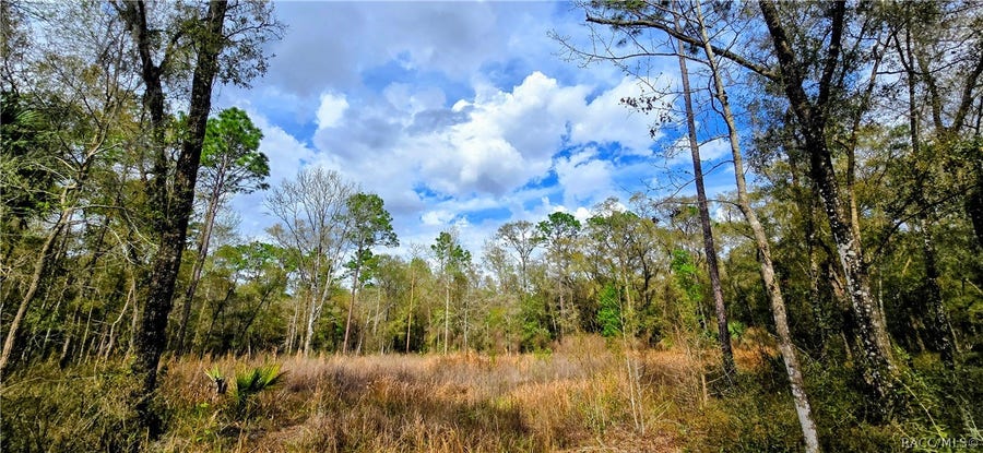 Property photo for 3491 E Stage Coach Trail, Inverness, FL
