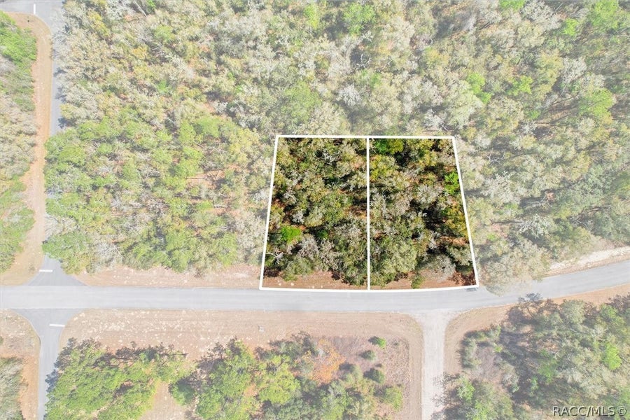 Property photo for 8987 N Alameda Drive, Dunnellon, FL