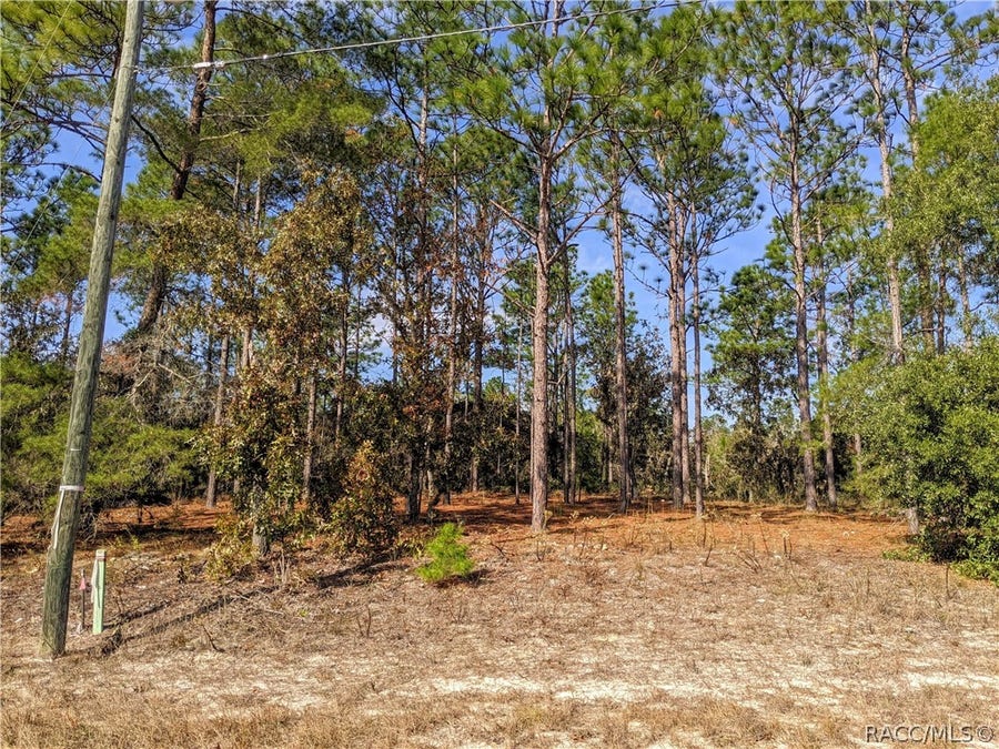 Property photo for 9830 N Corsair Terrace, Citrus Springs, FL