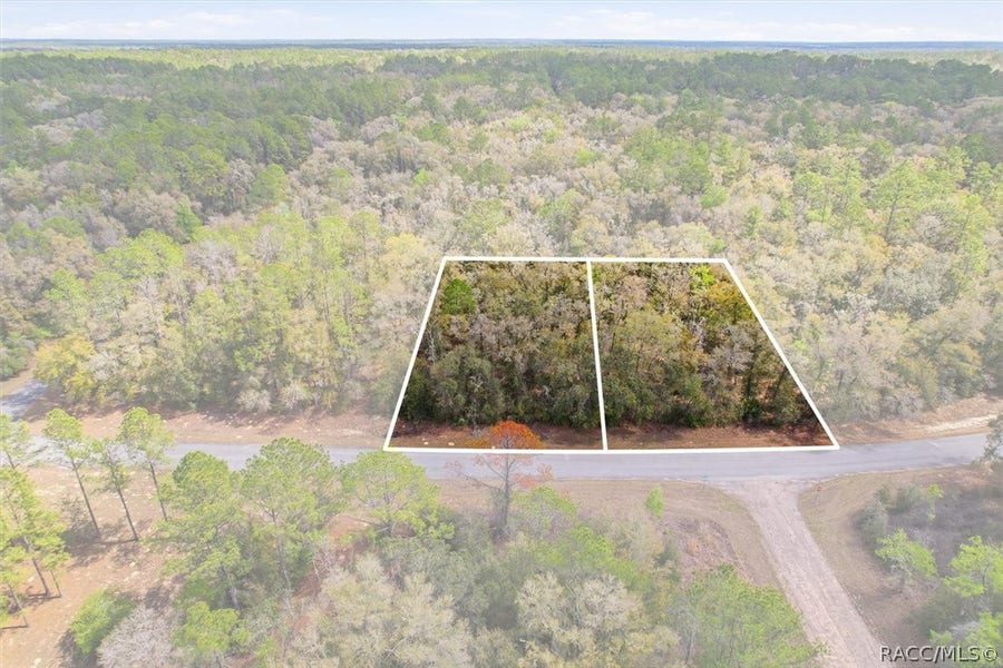 Property photo for 8969 N Alameda Drive, Dunnellon, FL