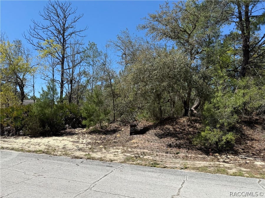 Property photo for 10762 N Moreno Drive, Dunnellon, FL
