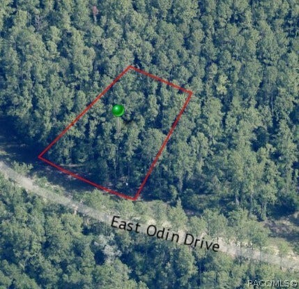 Property photo for 1345 E Odin Drive, Dunnellon, FL