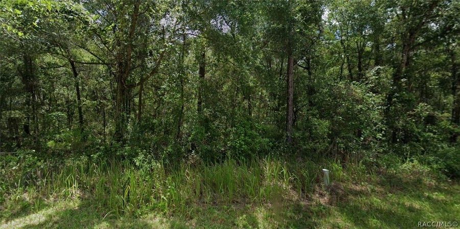 Property photo for 305 N Fitzpatrick Avenue, Inverness, FL