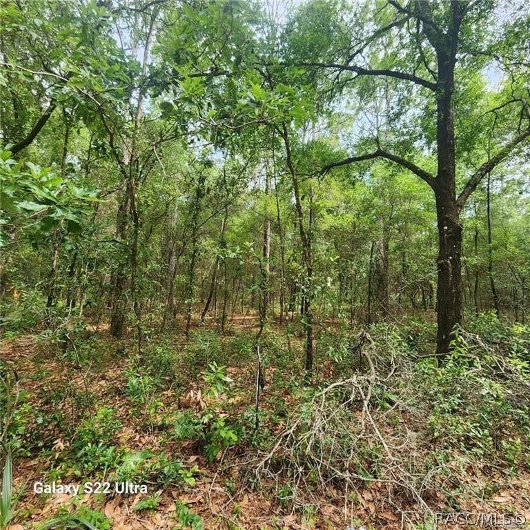 Property photo for 3172 E Kay Lane, Inverness, FL