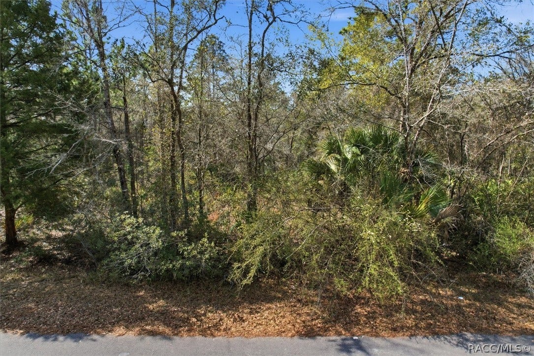 9568 N Dawnflower Avenue, Crystal River, FL 34428