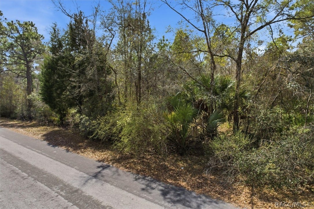 9568 N Dawnflower Avenue, Crystal River, FL 34428