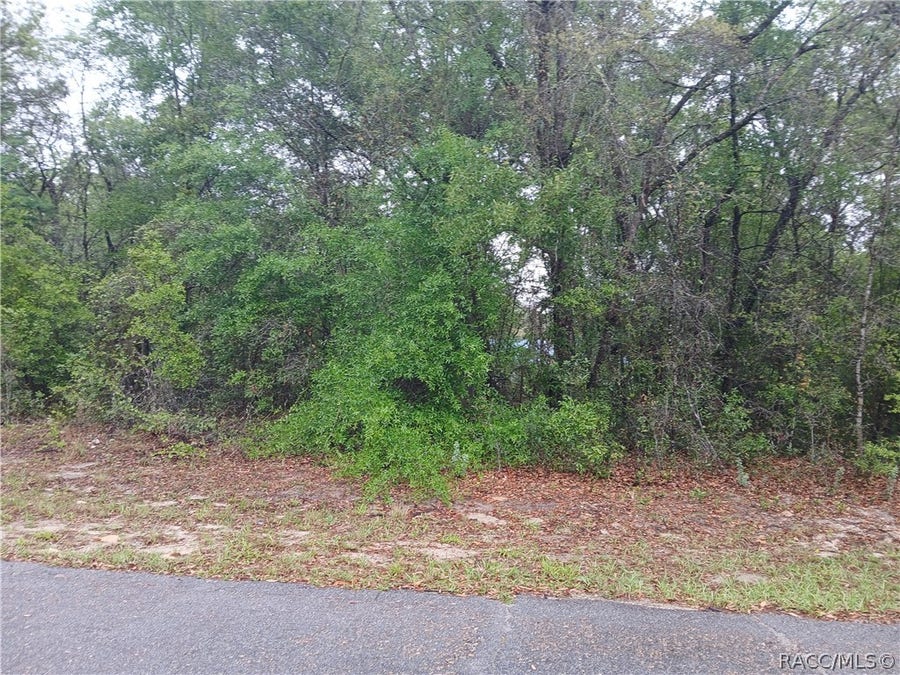 Property photo for 7851 N Vince Drive, Dunnellon, FL