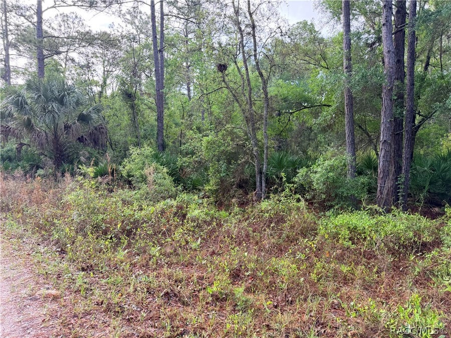 Property photo for 7494 W Nadal Drive, Crystal River, FL