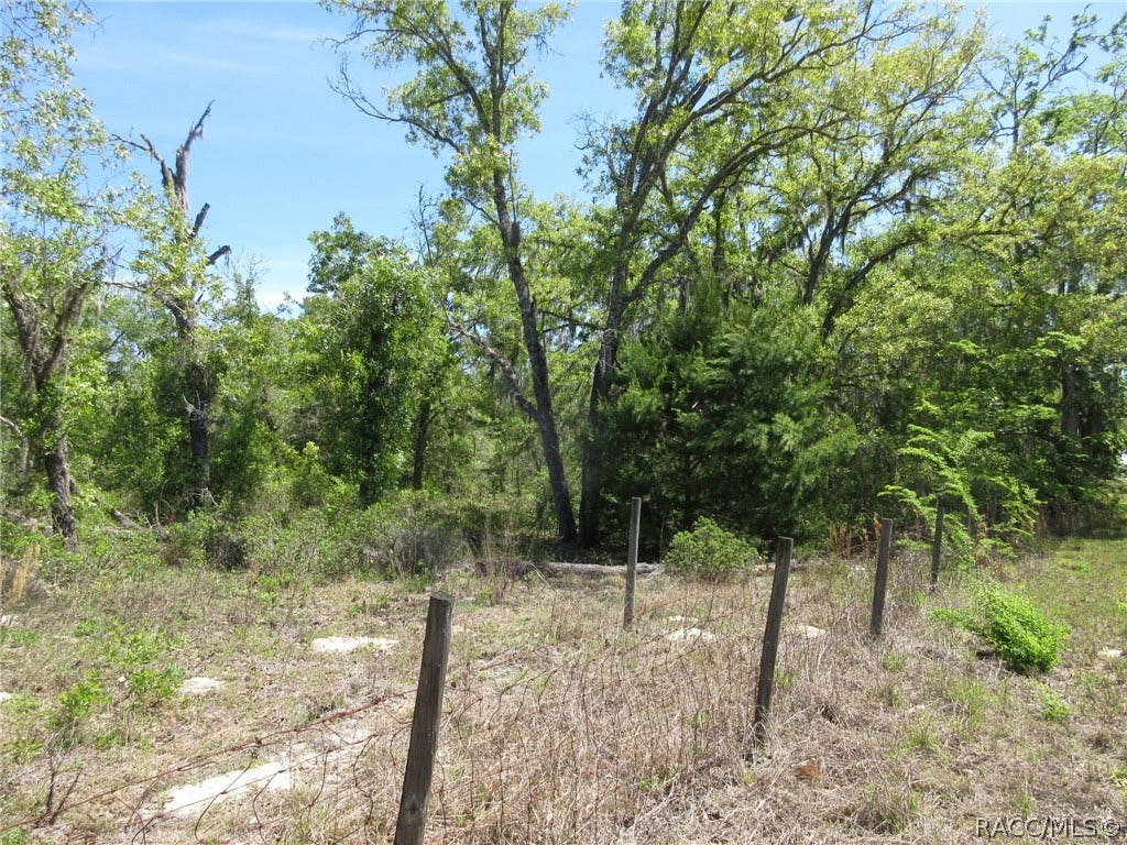 Located In North Citrus County