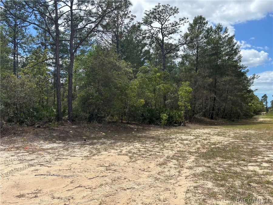 Property photo for 6520 N Redmond Court, Dunnellon, FL