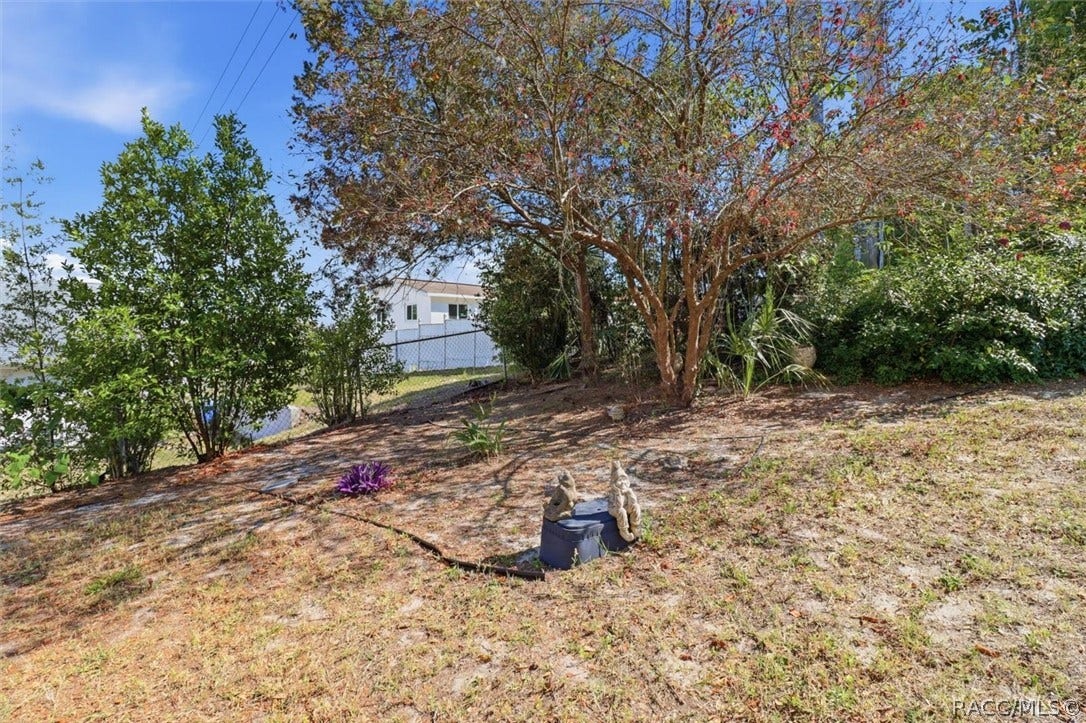 966 W Starjasmine Place, Beverly Hills, FL 34465 Exterior backyard
