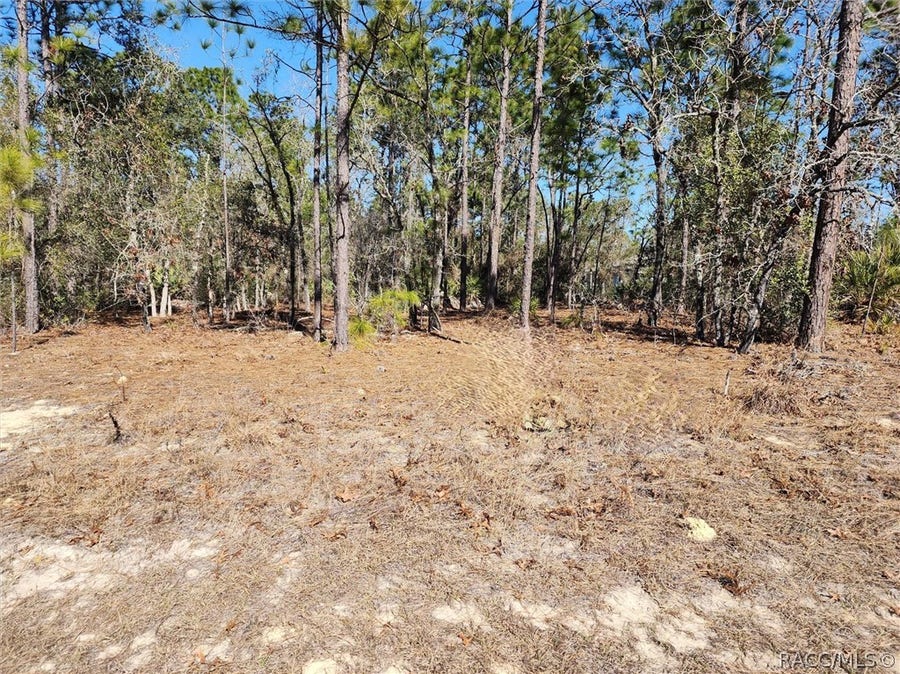 Property photo for 1037 W Almont Place, Other, FL