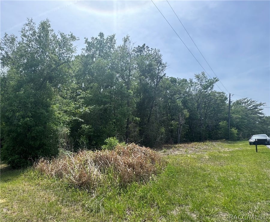 Property photo for 2493 W Magenta Drive, Dunnellon, FL