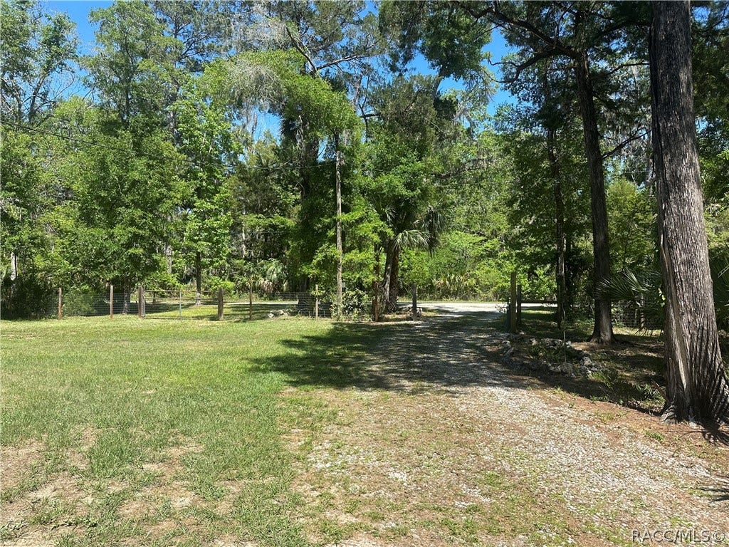 462 S Dew Plant Point, Crystal River, FL 34429 Lots of room to roam