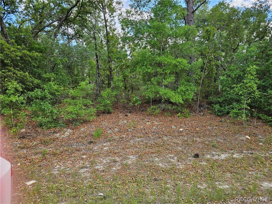 Property photo for 1681 W Skyline Drive, Dunnellon, FL