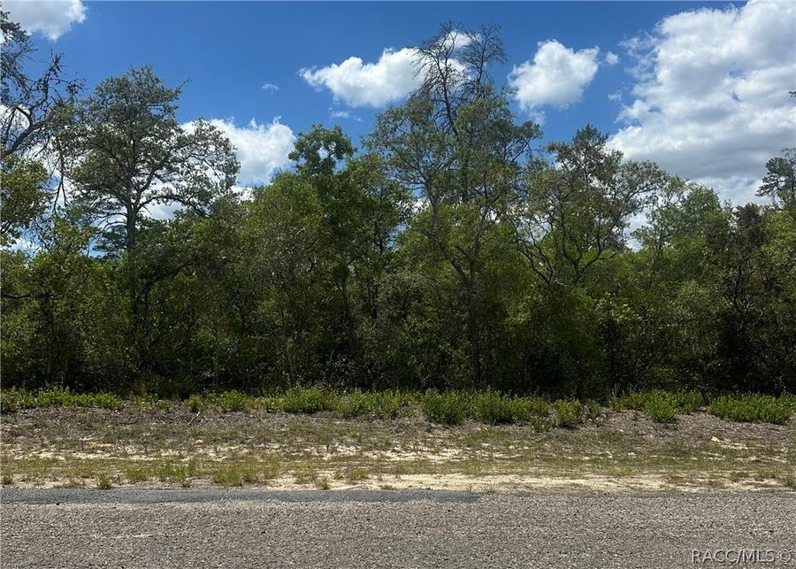 Property photo for 8036 N Wayside Avenue, Dunnellon, FL