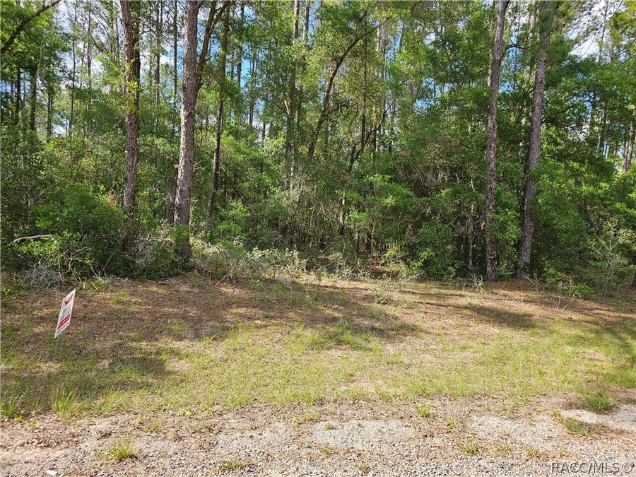 Property photo for 767 E Byrd Loop, Dunnellon, FL