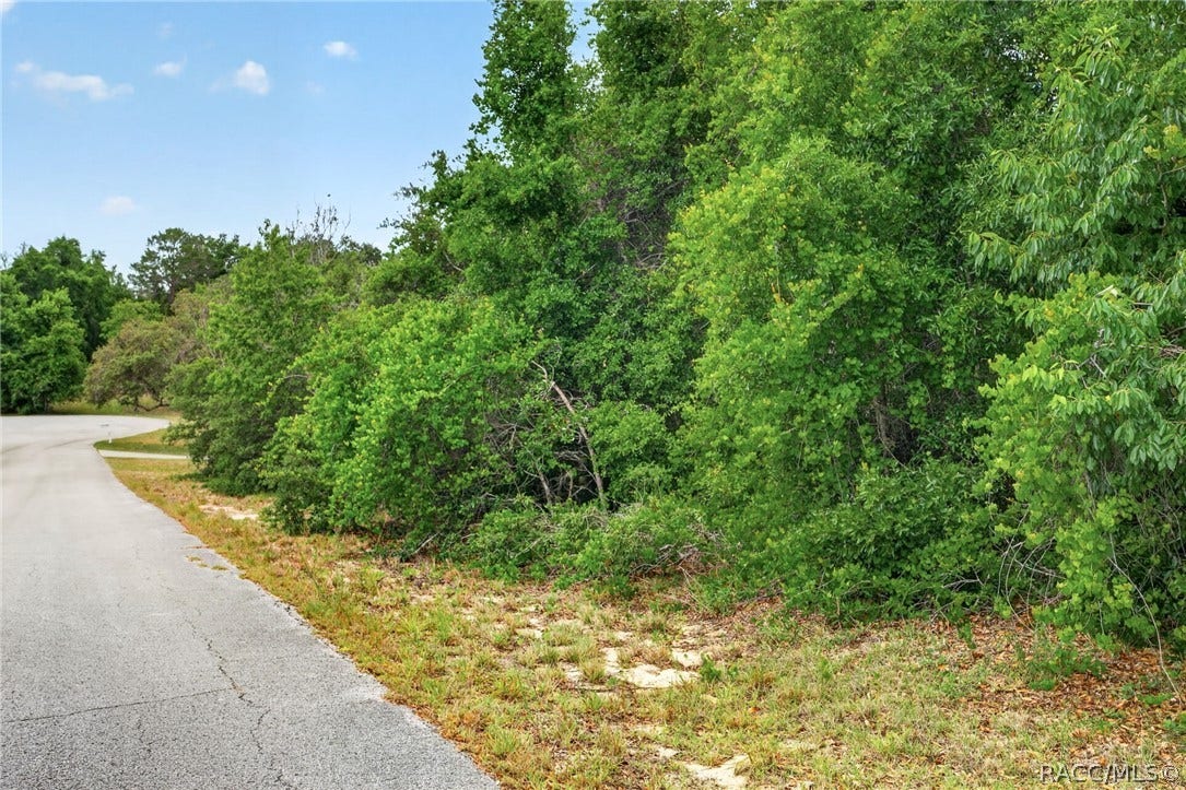 1642 S Valerie Point, Inverness, FL 34452
