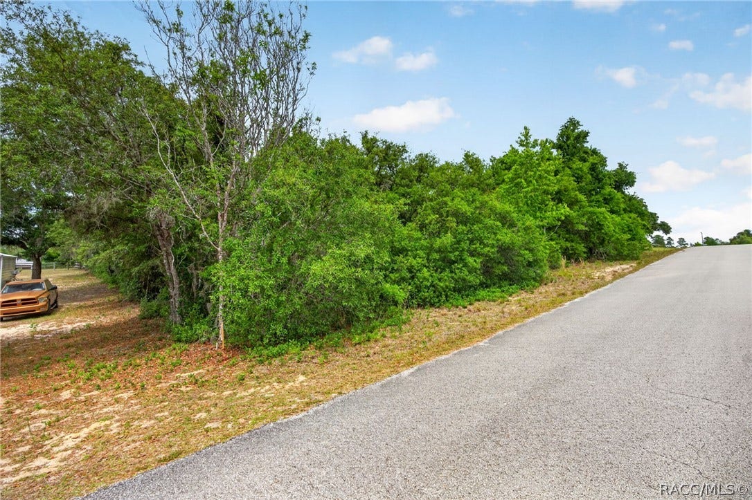 1642 S Valerie Point, Inverness, FL 34452