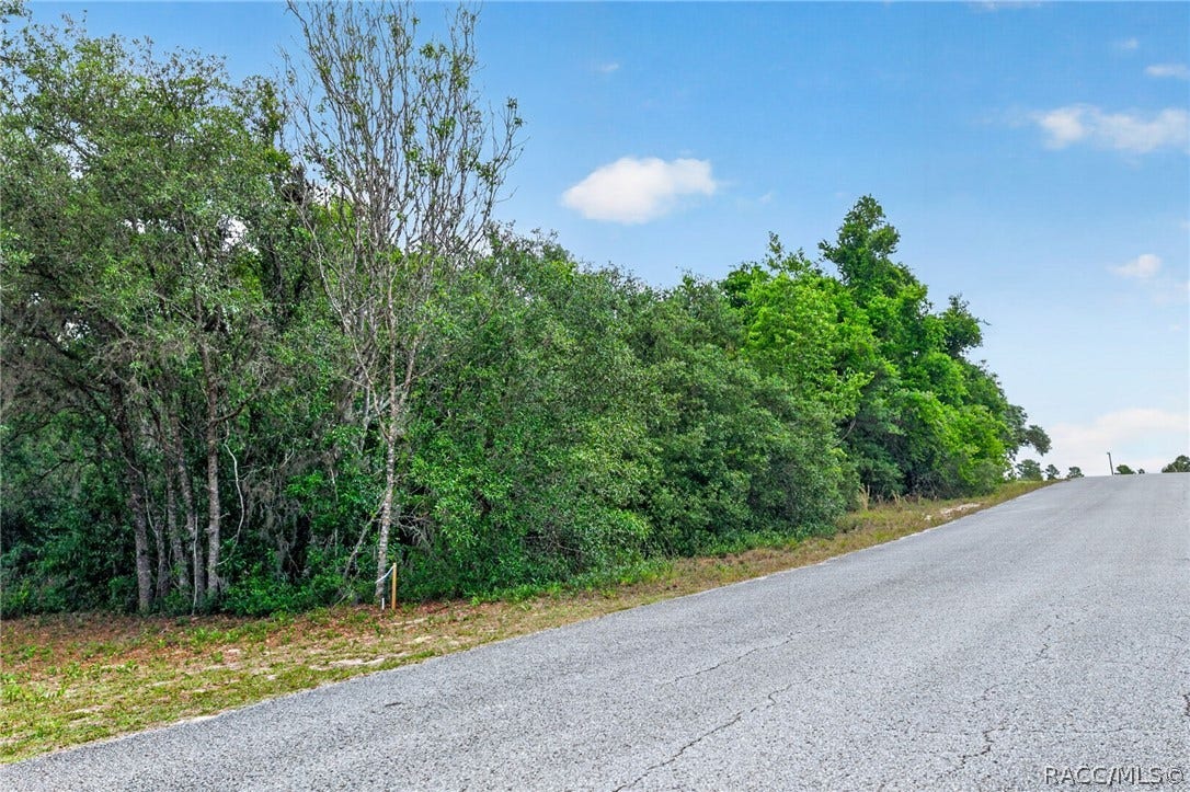 1642 S Valerie Point, Inverness, FL 34452