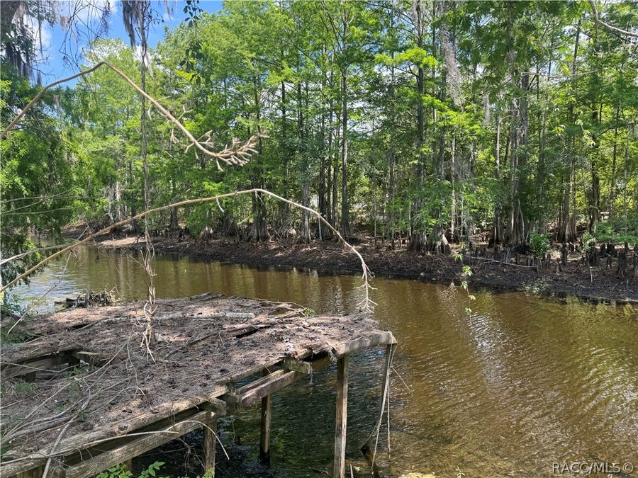 Property photo for 10500 E gobbler Drive, Floral City, FL