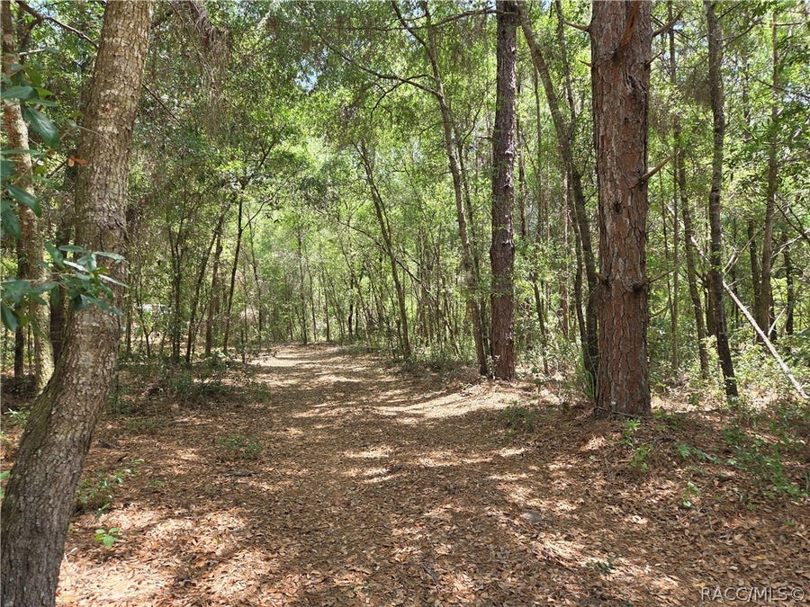 Property photo for 11953 N Glenview Avenue, Dunnellon, FL