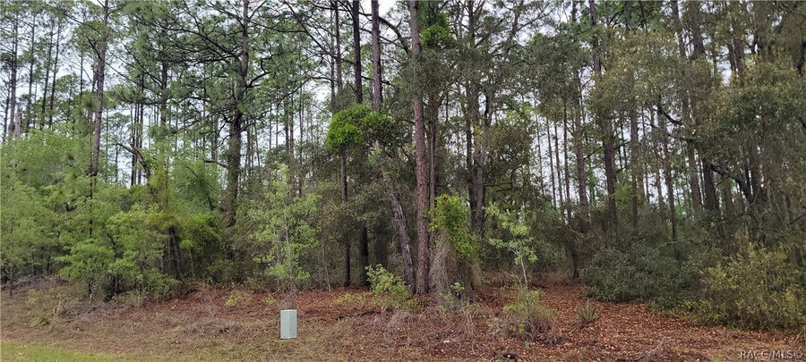 Property photo for 2851 W Higgins Place, Dunnellon, FL