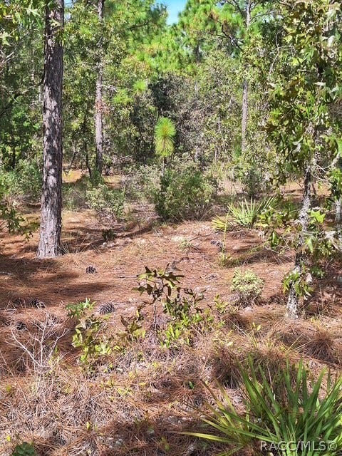 Property photo for 4138 W Dorchester Circle, Dunnellon, FL