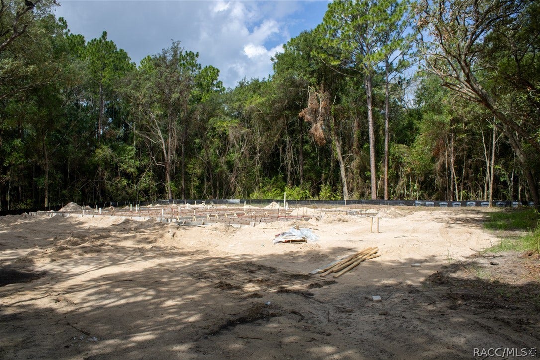 2498 W Aleuts Drive, Beverly Hills, FL 34465 Homesite
