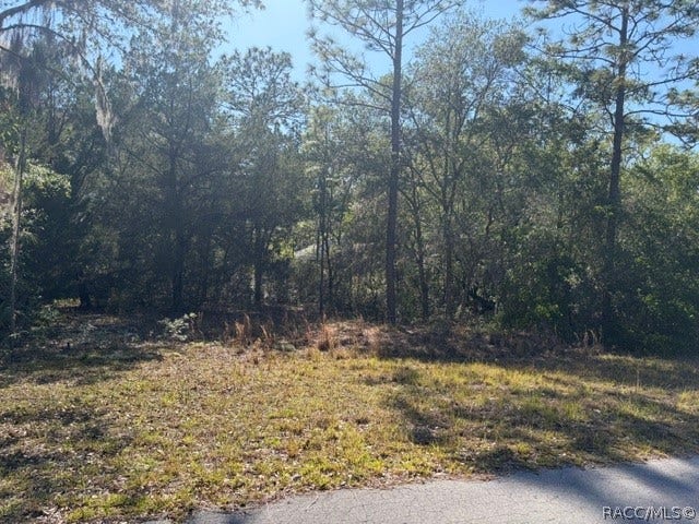 Property photo for 6162 W Bovio Court, Dunnellon, FL