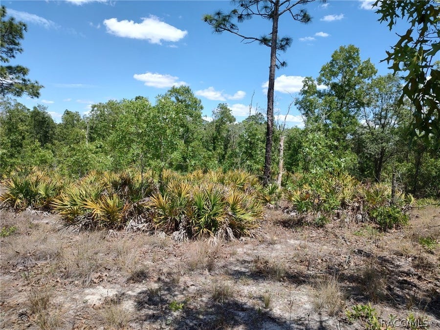 Property photo for 7165 W August Lane, Dunnellon, FL