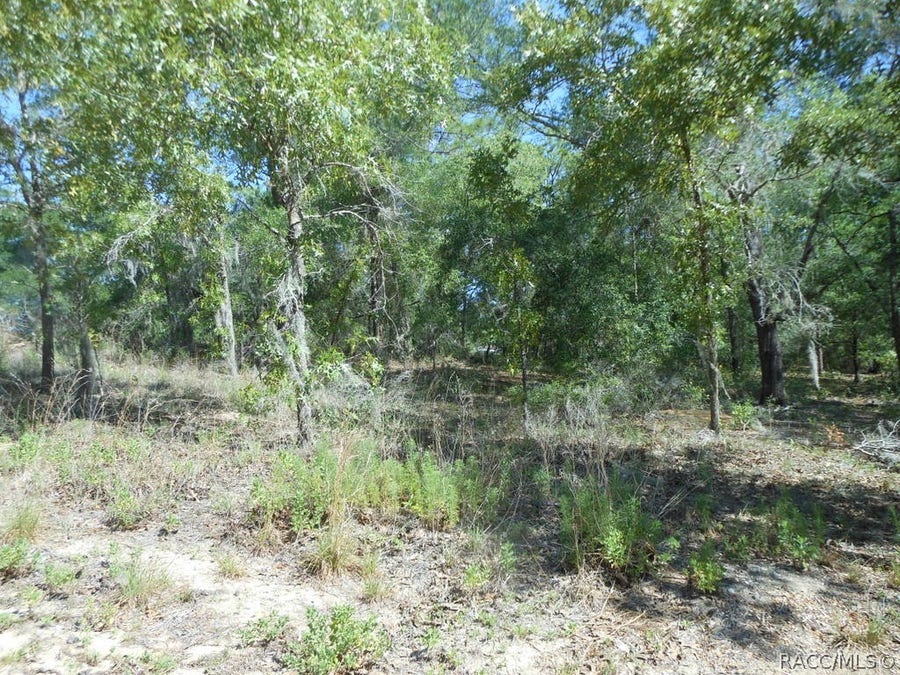 Property photo for 5225 E Prentice Lane, Inverness, FL