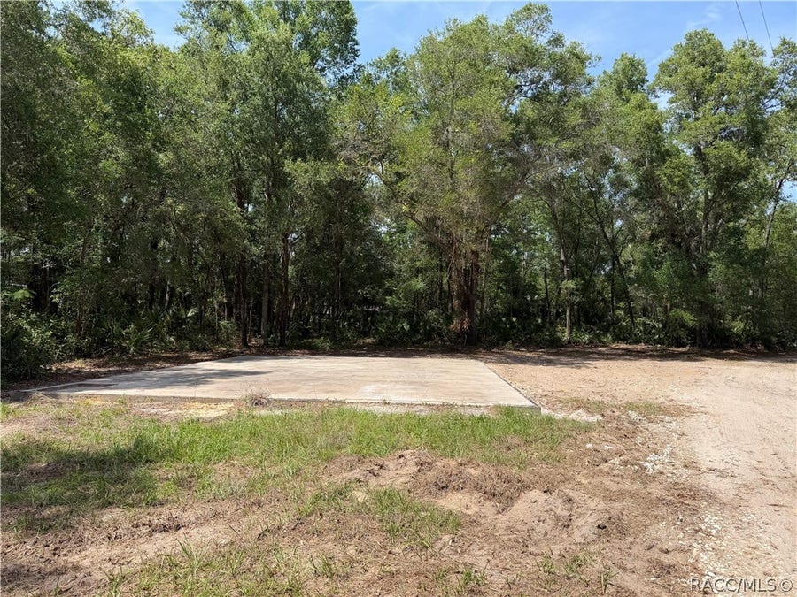 Property photo for 1628 S Palm Avenue, Homosassa, FL