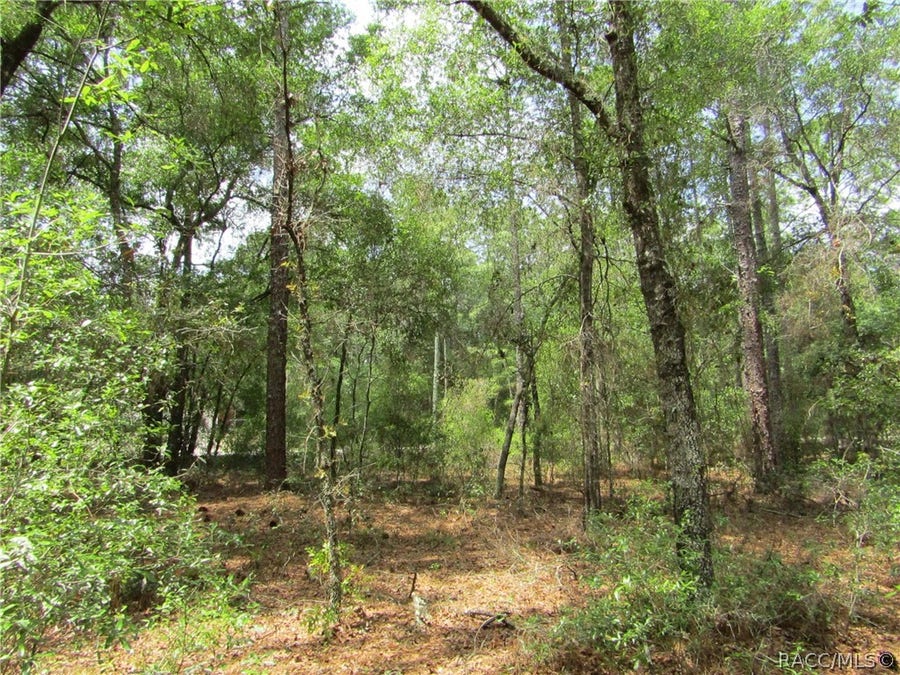 Property photo for 9673 N Loretta Way, Citrus Springs, FL
