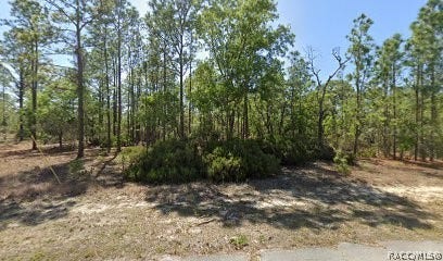 Property photo for 10584 N Inez Terrace, Dunnellon, FL
