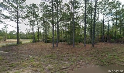Property photo for 10599 N Caldera Avenue, Dunnellon, FL