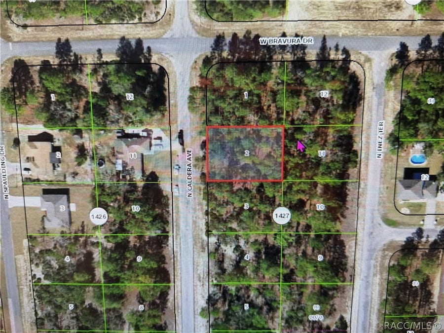 Property photo for 10585 N Caldera Avenue, Dunnellon, FL