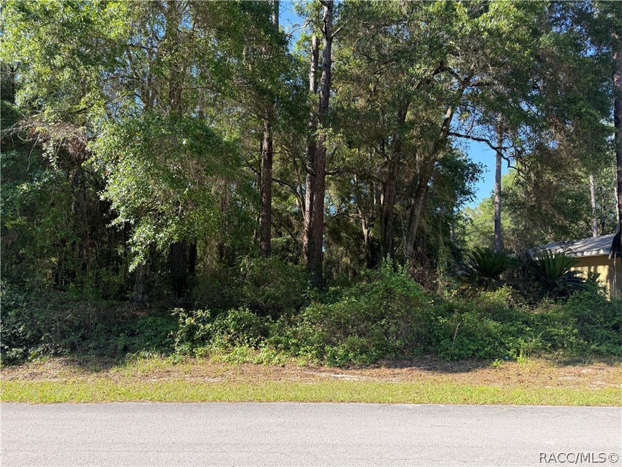 Property photo for 10927 N Airway Loop, Citrus Springs, FL