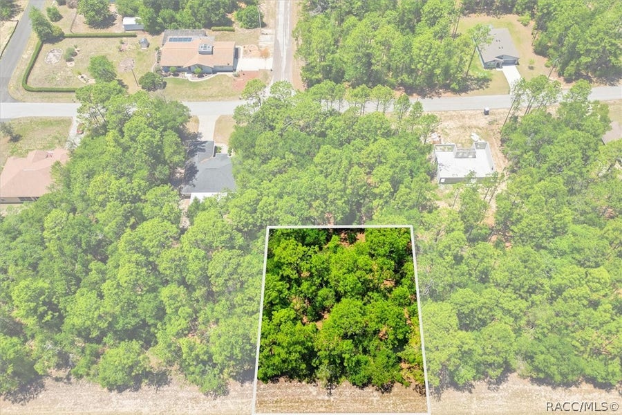 Property photo for 10858 N Elkcam Boulevard, Citrus Springs, FL