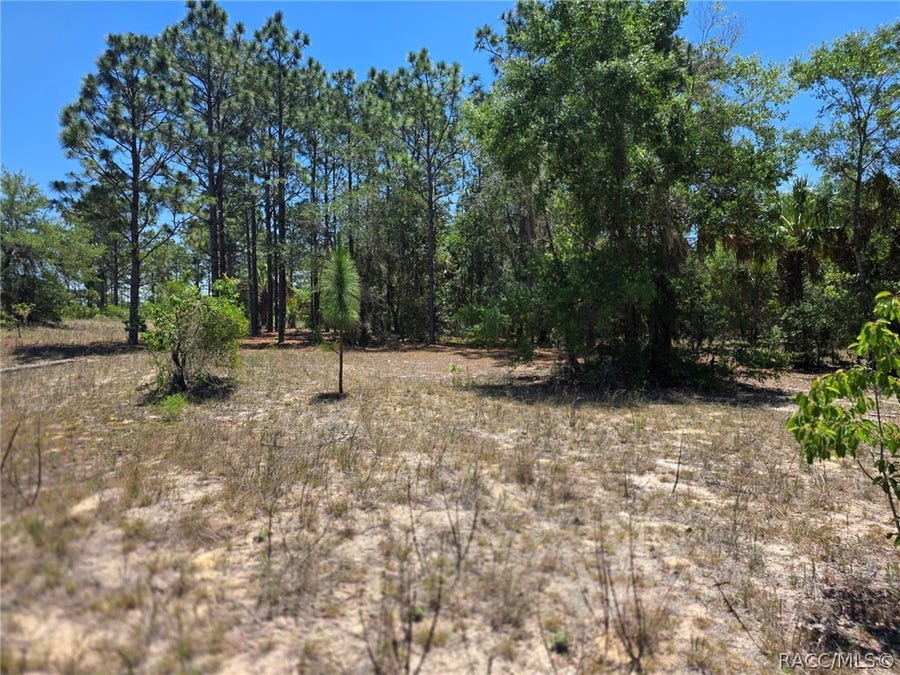 Property photo for 11837 N Captiva Terrace, Dunnellon, FL