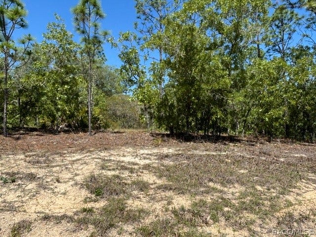 Property photo for 2888 W Lambert Drive, Dunnellon, FL
