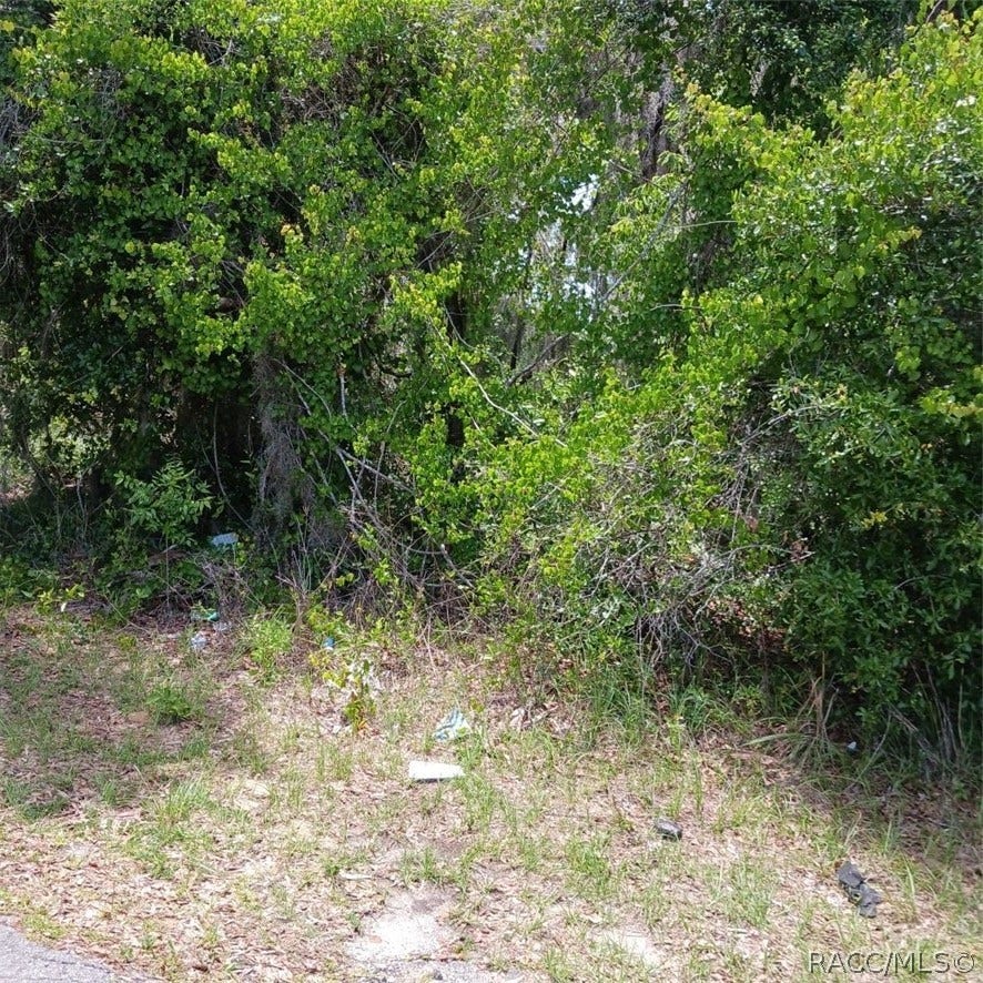 Property photo for 215 & 217 Country Walk, Inverness, FL