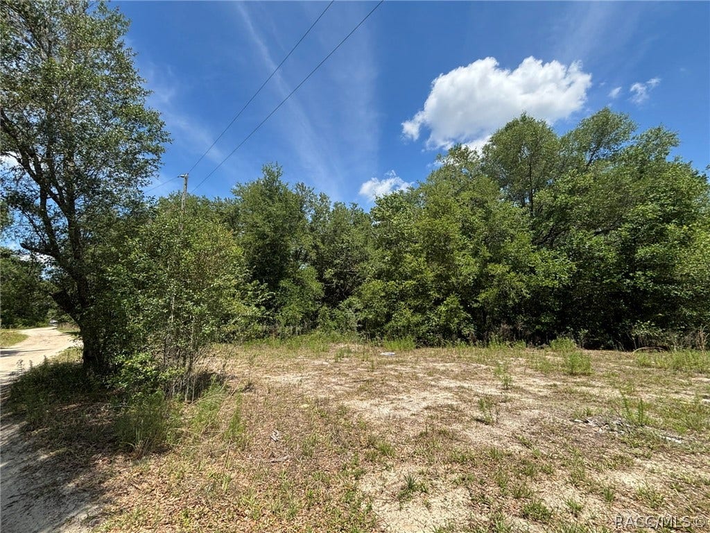 2608 Polk Street, Inverness, FL 34453 2608 Polk Street, Inverness, FL 34453